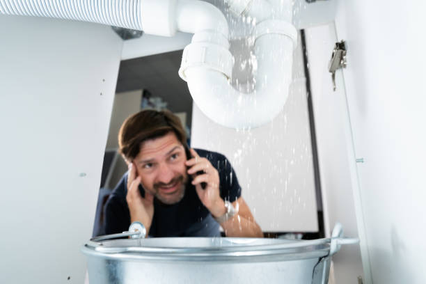 Best Local Plumber Services  in Meadow Glade, WA