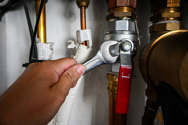 Best Local Plumber Services  in Meadow Glade, WA